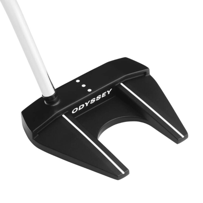 Best Arm Lock Putters Buyer's Guide 2022 Edition